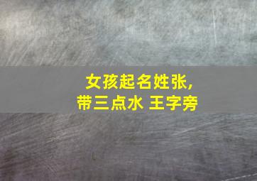 女孩起名姓张,带三点水 王字旁